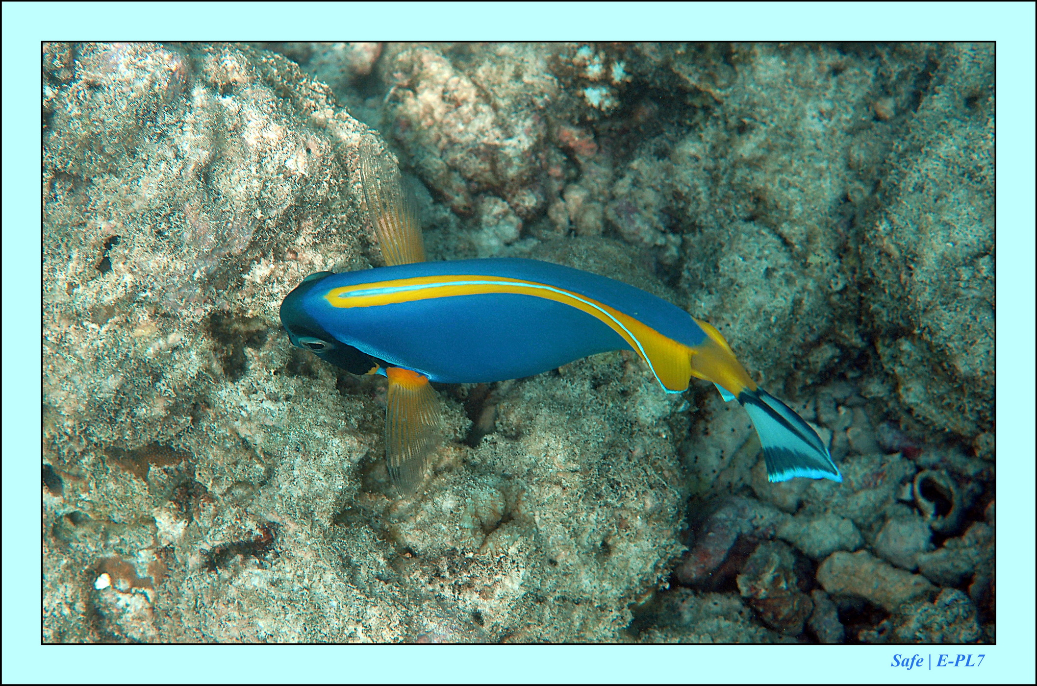 2023 - 07 - Sandies Bathala - 100